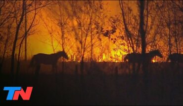 Video: Incendios dramáticos en Corrientes: las llamas ponen en jaque a los Esteros del Iberá
