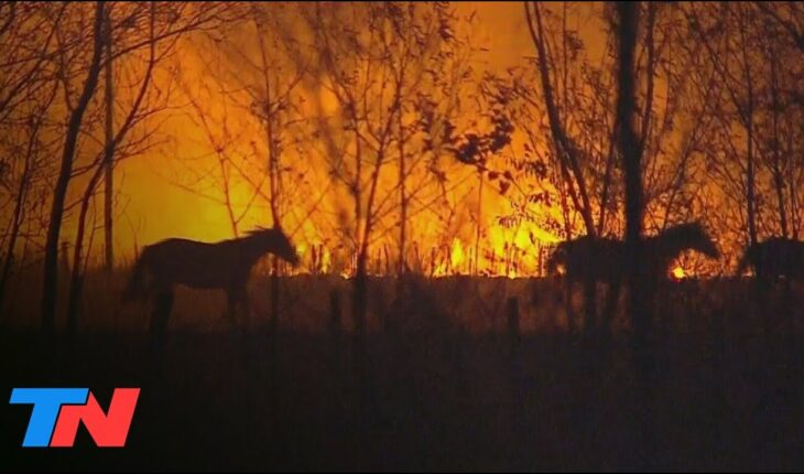 Video: Incendios dramáticos en Corrientes: las llamas ponen en jaque a los Esteros del Iberá