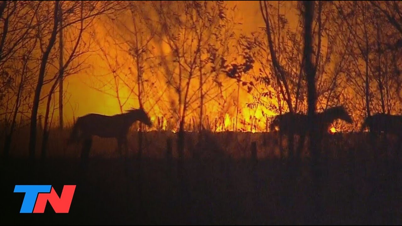 Incendios dramáticos en Corrientes: las llamas ponen en jaque a los Esteros del Iberá