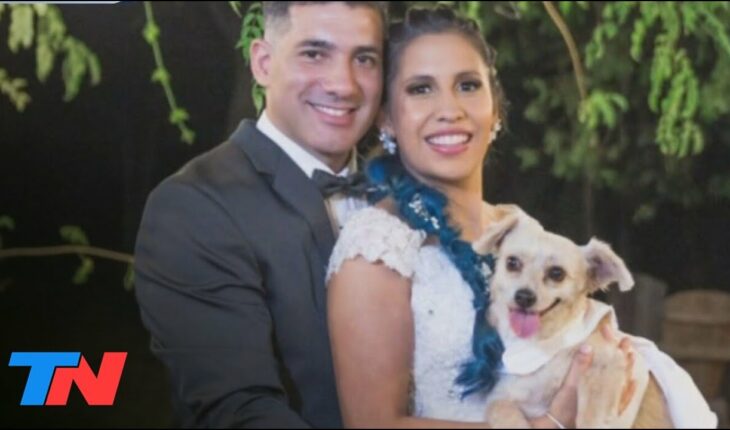 Video: LA DAMA DE HONOR PERRUNA l Una pareja de Corrientes eligió a su mascota como "madrina" de casamiento