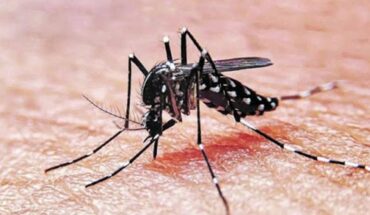A raíz de las restricciones por la pandemia, hubo 750 mil casos menos de dengue