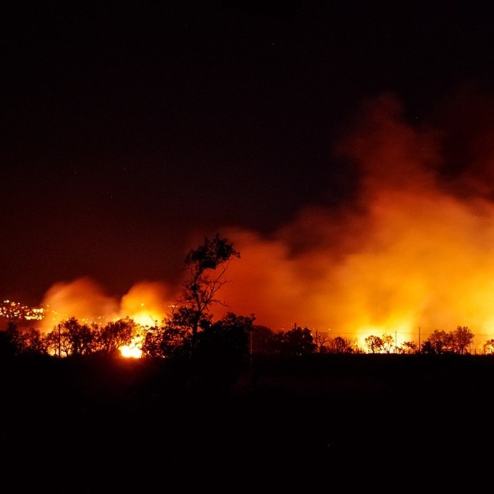 Civil Protection seeks to sanction forest fires