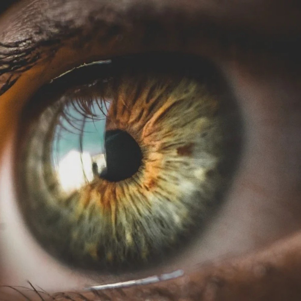 El glaucoma es la primera causa de pérdida de la visión