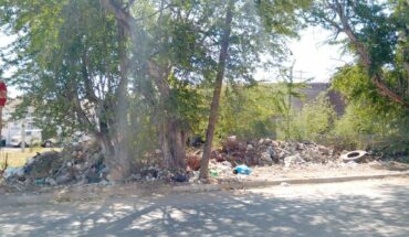 Hay baldíos llenos de basura en la Tabachines 2 de Los Mochis