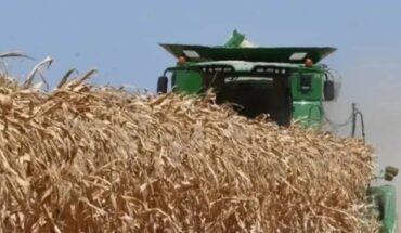 Increases in corn and wheat prices estimated by war