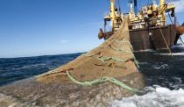 Premios “Nobel del medioambiente”: «La mejor solución para los océanos es no pescar en alta mar»