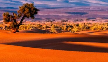 Sahara Occidental: fin de la ficción, ¿principio de la realidad?