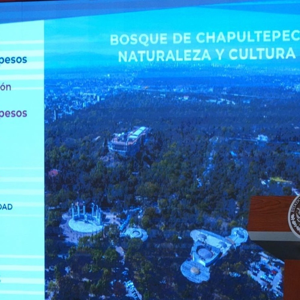 Sheinbaum presenta avances del proyecto Bosque de Chapultepec