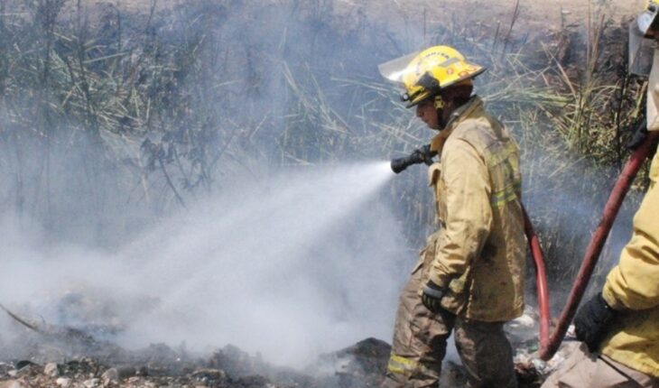 Suman 190 incendios en lo que va del año en Guasave