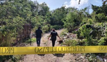 They find in Cancun, Quintana Roo, a grave with at least five bodies