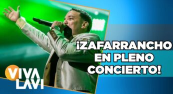 Video: Hasta los golpes en concierto de Lorenzo Méndez | Vivalavi MX