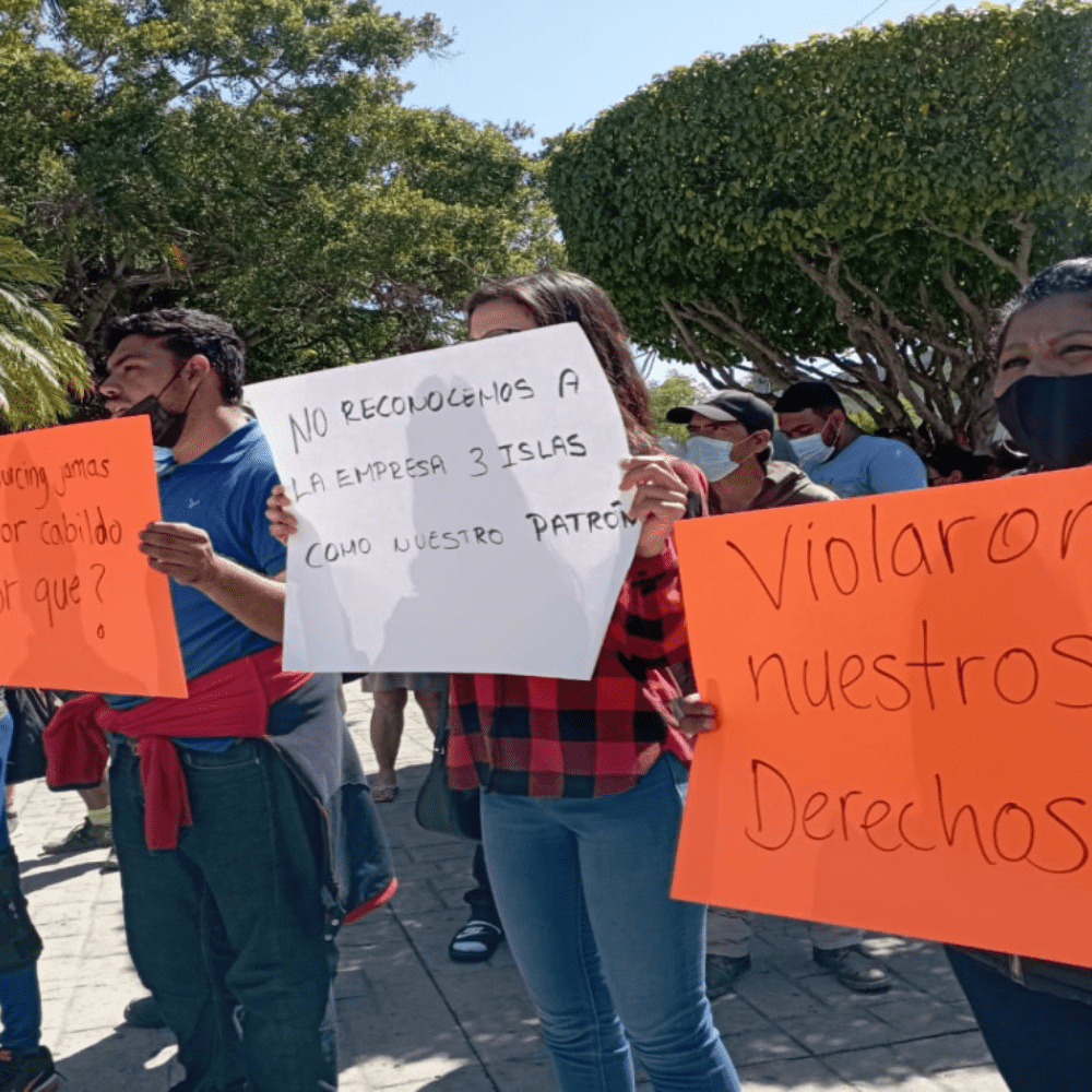 Workers demonstrate outside mazatlan City Hall