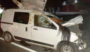 A woman ran over a horse in Chubut and the animal was embedded in her truck