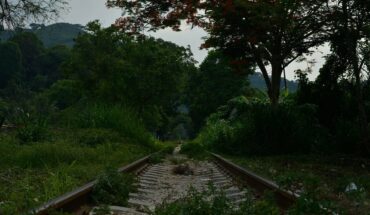 Ambientalistas aceptan ir a Palacio Nacional para hablar del Tren Maya
