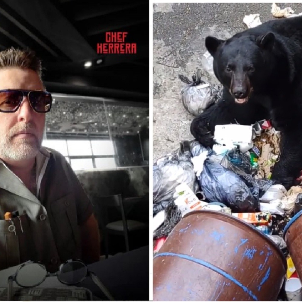 Chef Adrián Herrera toma video a un oso negro en Nuevo León