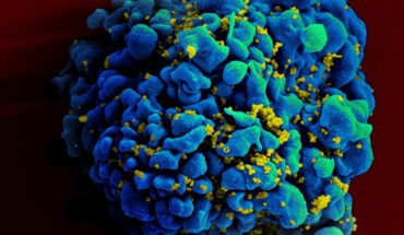 HIV: A New Approach to Finding Pathways to Cure