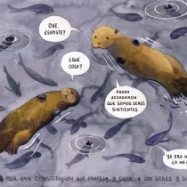 Ilustradora Antonia Bañados publica ilustración sobre derechos de animales en nueva Constitución