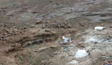 Santa Cruz: fossil remains of a megaraptor dinosaur found