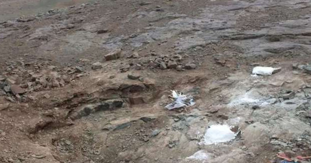Santa Cruz: fossil remains of a megaraptor dinosaur found