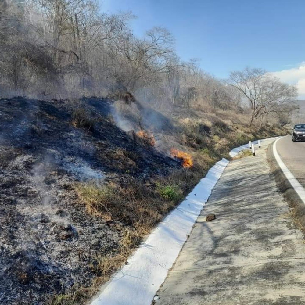 Se incendian pastizales a orilla de la carretera en Concordia, Sinaloa