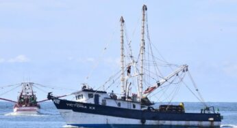 Sector pesquero de México busca certificación de EUA
