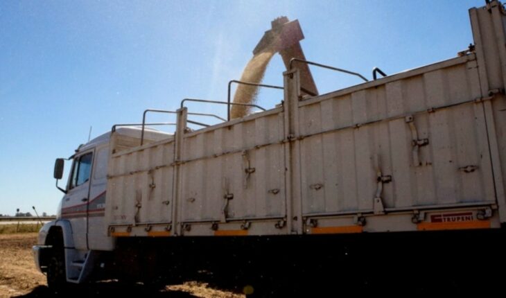 Transportistas de granos anunciaron paro y cortes de ruta por falta de gasoil