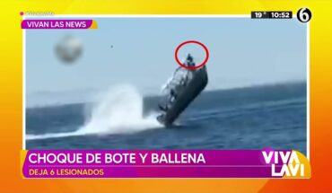 Video: Increíble choque de bote contra ballena | Vivalavi MX