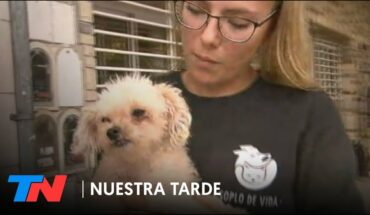 Video: MALTRATO ANIMAL | Otro allanamiento en Parque Chas: trasladaron a los perros