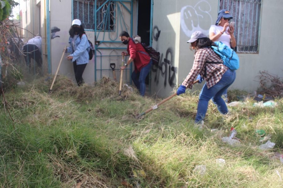Women seekers deploy their second day in the field in Jalisco