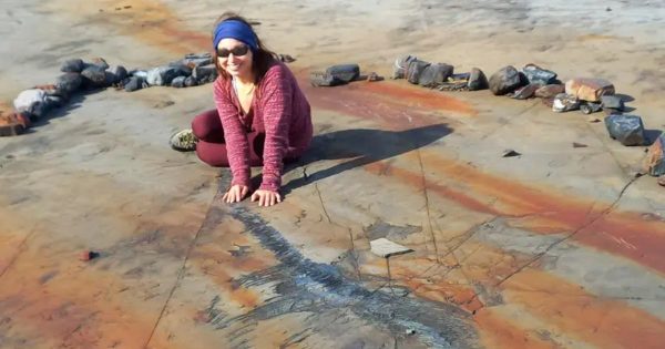 Chilena dirigió increíble excavación de un ictiosaurio en la Patagonia