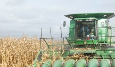 Corn threshing records a 10% advance: AARSP