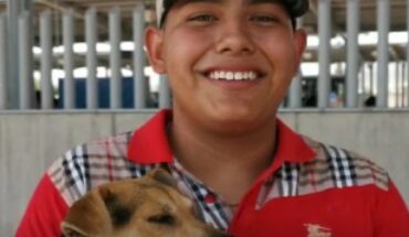 En León, Guanajuato 58 perritos han vuelto a casa por el SIT