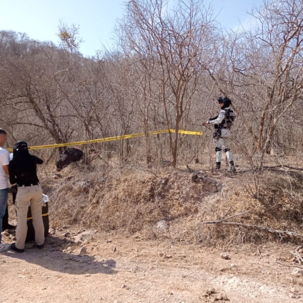 Encuentran huesos humanos en un camino en Rosario, Sinaloa