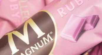 Magnum Ruby, a qué sabe la paleta rosa de chocolate