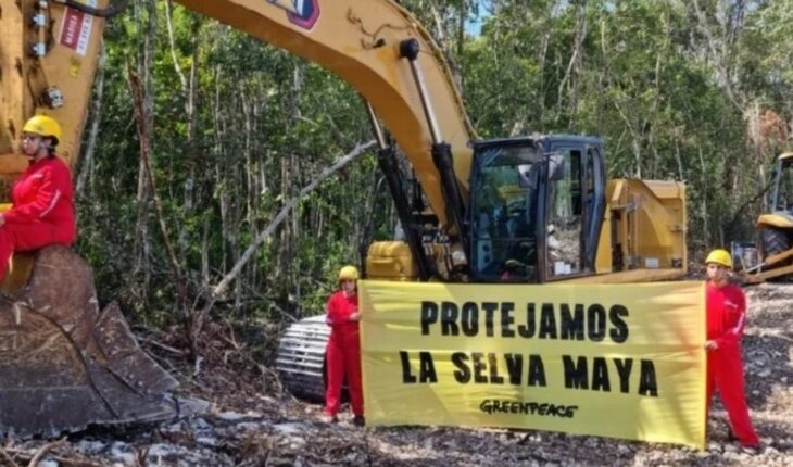 Sélvame celebrates suspension of section 5 of the Mayan Train