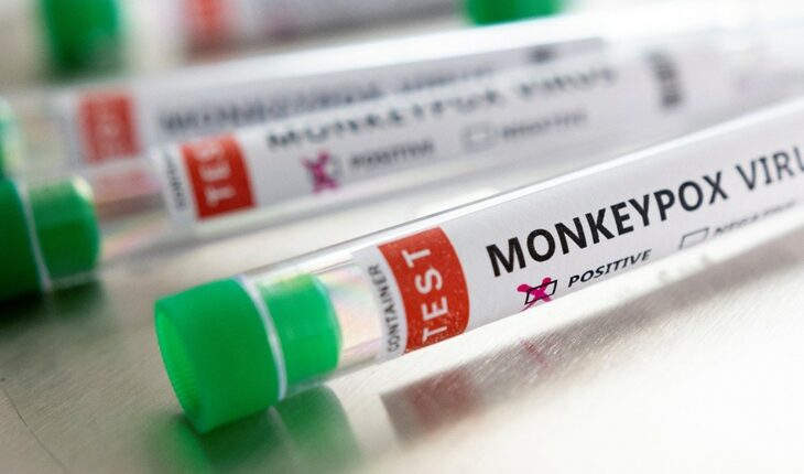 Viruela del mono: en qué países se detectaron casos