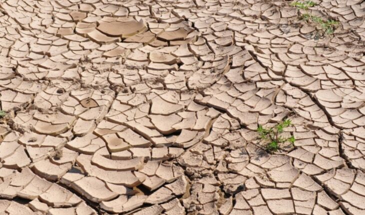 15 estados de México presenta algún tipo de sequía