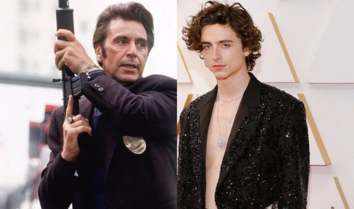Al Pacino wants Timmothée Chalamet in a sequel to “Fire Against Fire”