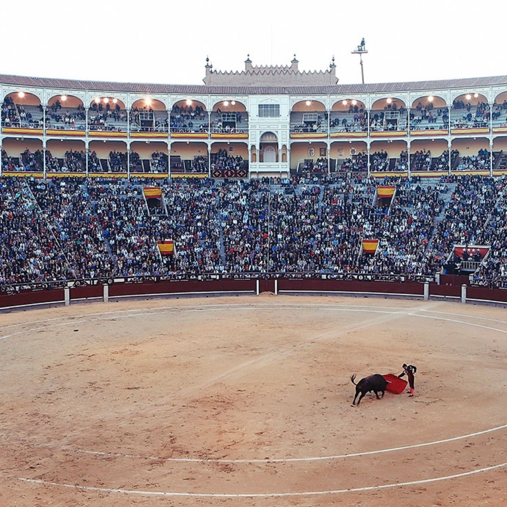 Juez ordena suspensión definitiva de corrida de toros en Ciudad de México