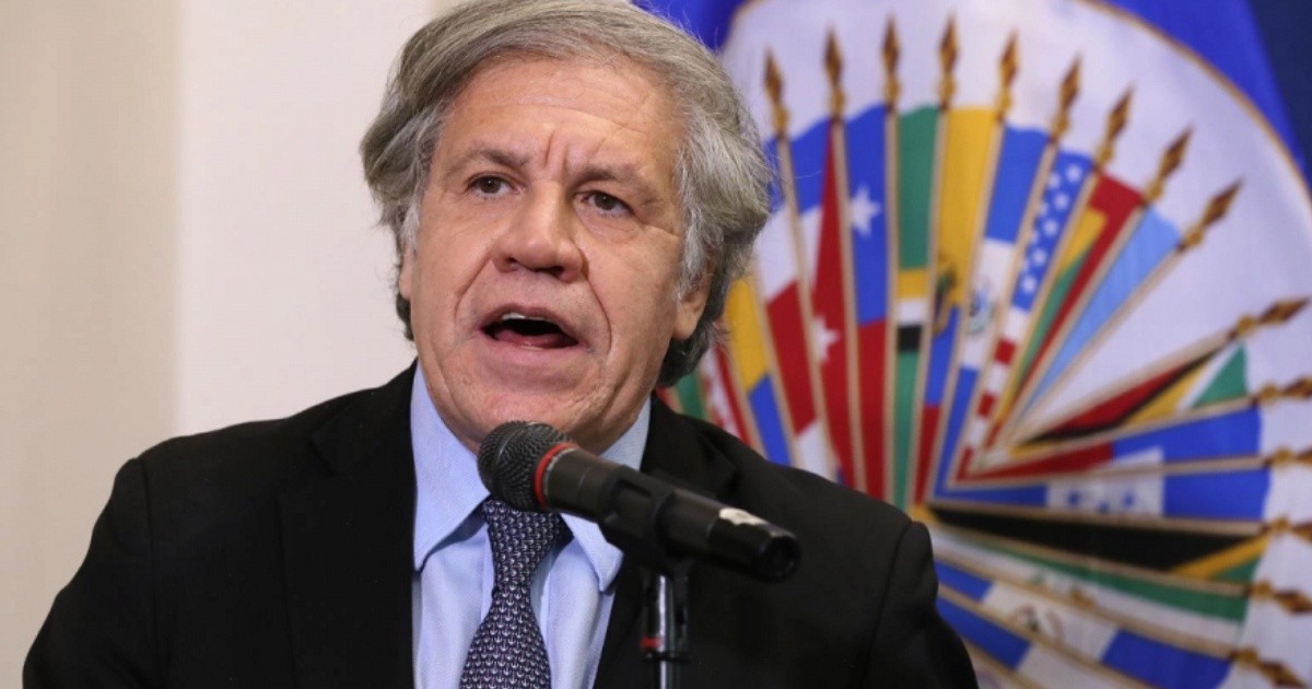 Oas Chief Luis Almagro said: "I would not have liked Pinochet, Videla and Gregorio Álvarez to be in this room."