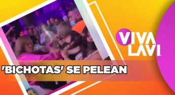 Video: Fans de Karol G se agarran a golpes en pleno concierto | Vivalavi MX