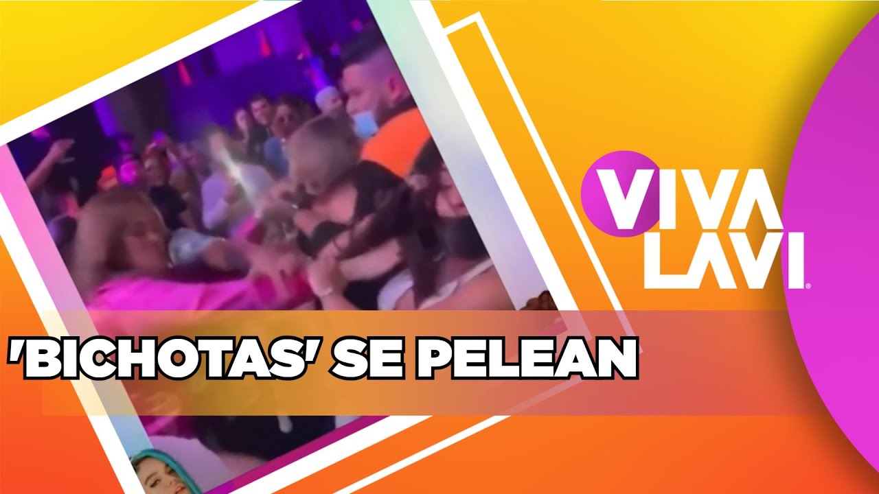 Fans de Karol G se agarran a golpes en pleno concierto | Vivalavi MX