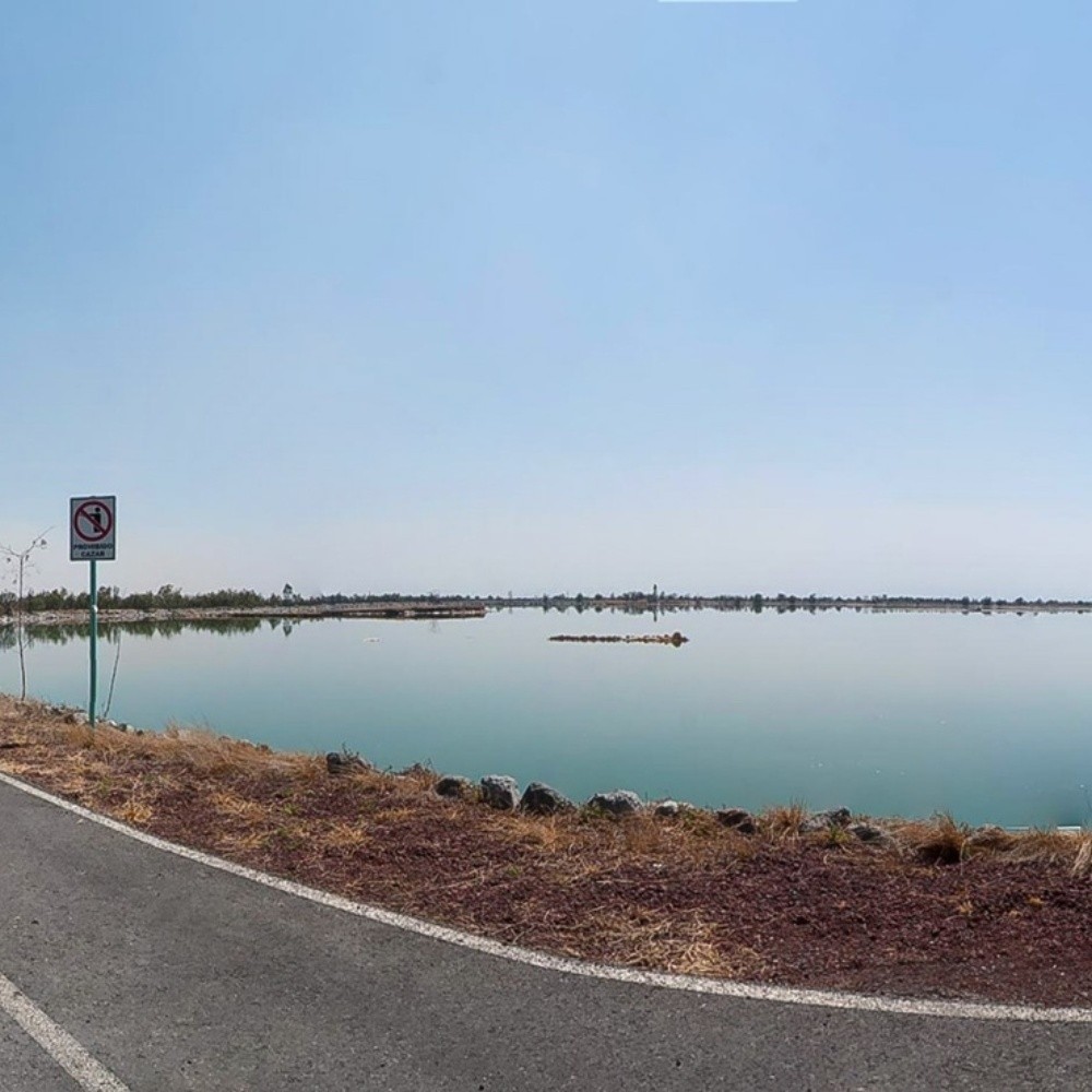 Ya es Lago de Texcoco humedal de importancia internacional