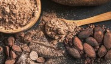Cacao: cómo aprovechar las propiedades y beneficios de este superalimento