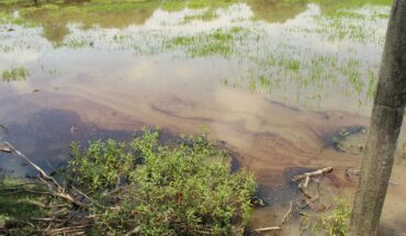 Derrame de petróleo en Tabasco y Chiapas afecta a 600 mil personas