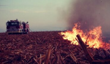 En aumento la quema de soca en Angostura, Sinaloa