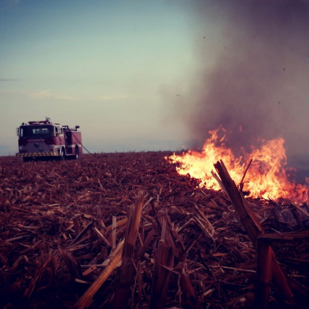 En aumento la quema de soca en Angostura, Sinaloa