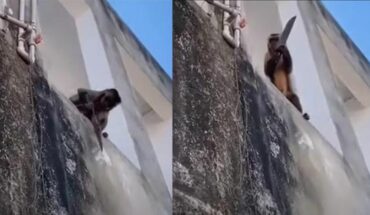 Mono con cuchillo amenaza a personas y roba en tiendas de Brasil
