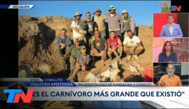 Video: HALLAZGO EN NEUQUÉN I Científicos argentinos hallaron restos de uno de los dinosaurios mas grandes