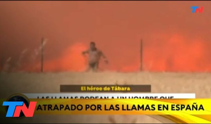 Video: INCENDIOS EN ESPAÑA: El héroe de Tábara